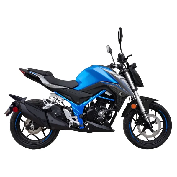 Arora Ck250 249 Cc Touring Motosiklet - Görsel 2