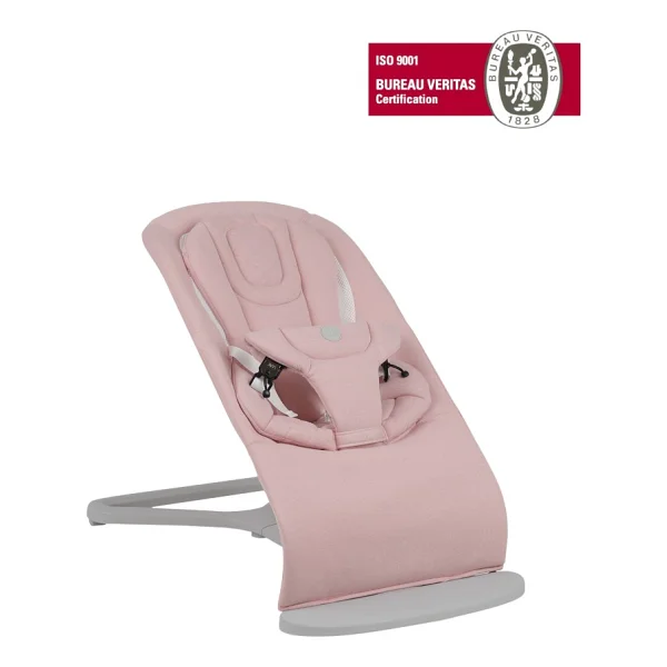 Will Bouncer Side Pink Ana Kucağı - Görsel 9