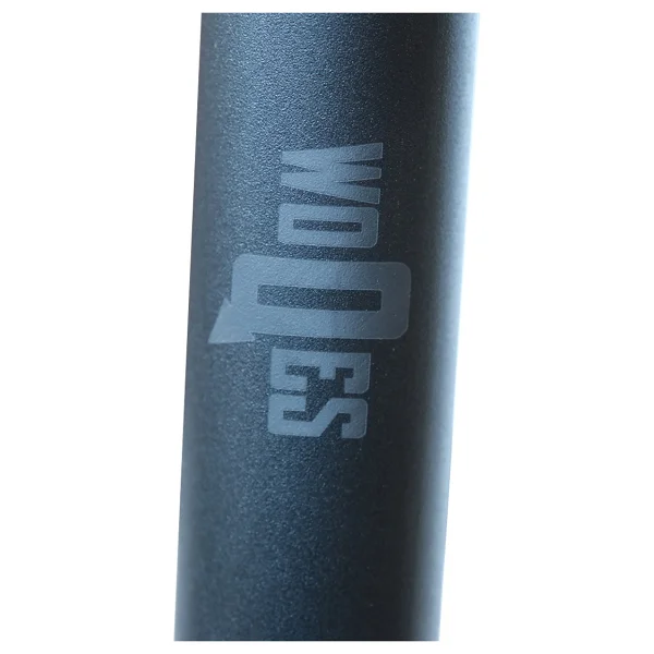 Woqes Uzun Paralel Bar Fitness Egzersiz Aleti Dips Bar - Görsel 4