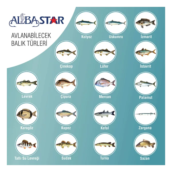 Albastar Tam Takım Göl Ve Deniz Olta Seti 300 Cm-Taşıma Çantalı - Görsel 2