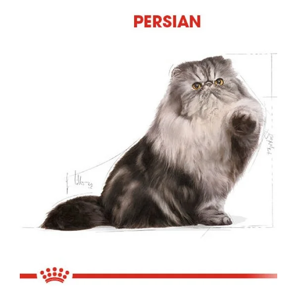 Royal Canin Persian İran Kedilerine Özel 400 gr Yetişkin Kedi Maması - Görsel 6