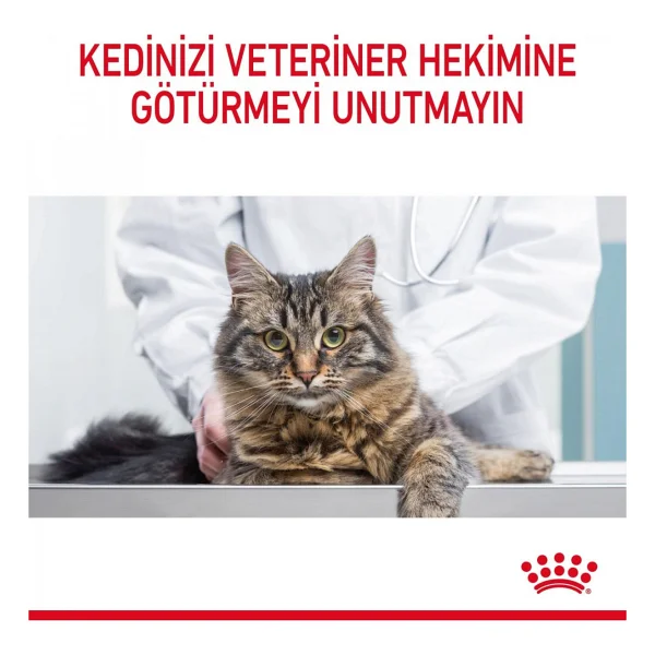 Royal Canin Oral Care 1.5 Kg Yetişkin Kedi Maması - Görsel 4