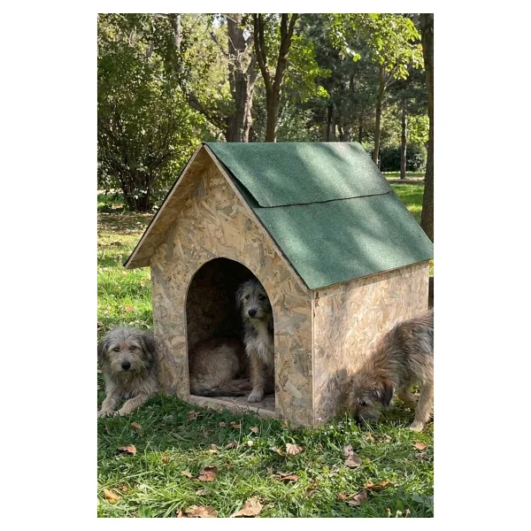 Reyo Köpek Kulübesi Büyük Boy Osb XL Yeşil Çatılı 100x100x78 Cm - Görsel 6