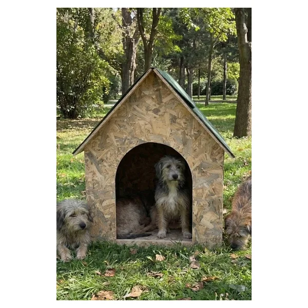Reyo Köpek Kulübesi Büyük Boy Osb XL Yeşil Çatılı 100x100x78 Cm - Görsel 2