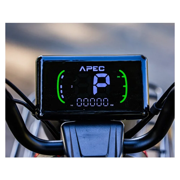 Apec Apm5 1000 W 3 Tekerlekli Elektrikli Motosiklet Gri - Görsel 2