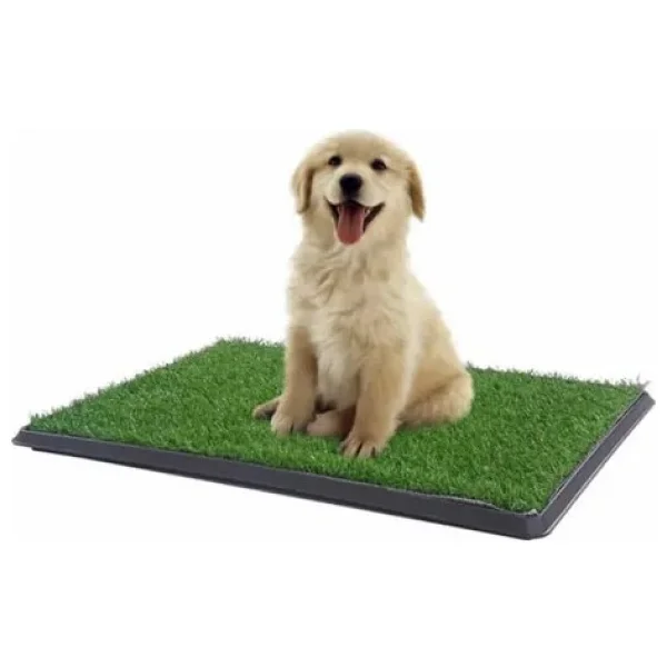 Petzoom Pet Park Büyük Boy Köpek Tuvaleti - Görsel 4