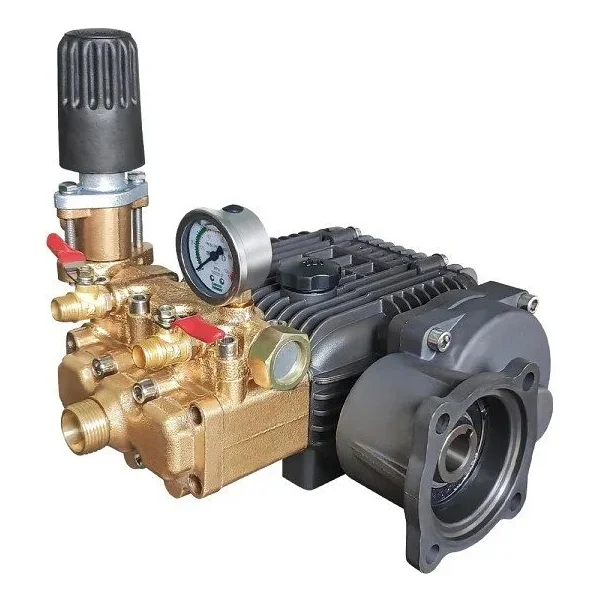 Datsu Fst-22a Basınçlı İlaçlama Pompası - Görsel 2