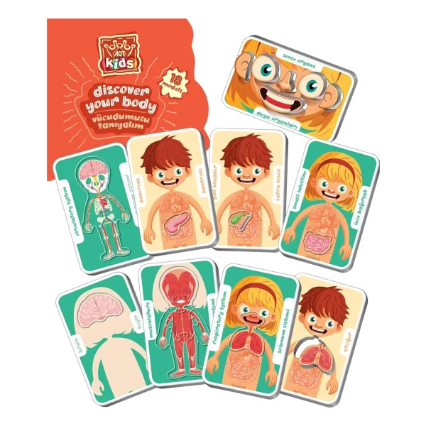 Art Kids Vücudumuzu Tanıyalım 54 Parça Puzzle 5830 - Görsel 2