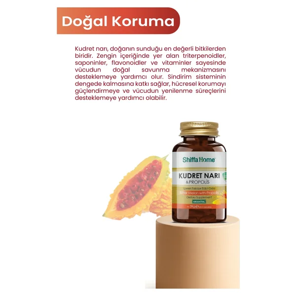 Shiffa Home Kudret Narı Propolis 60 Kapsül - Görsel 4