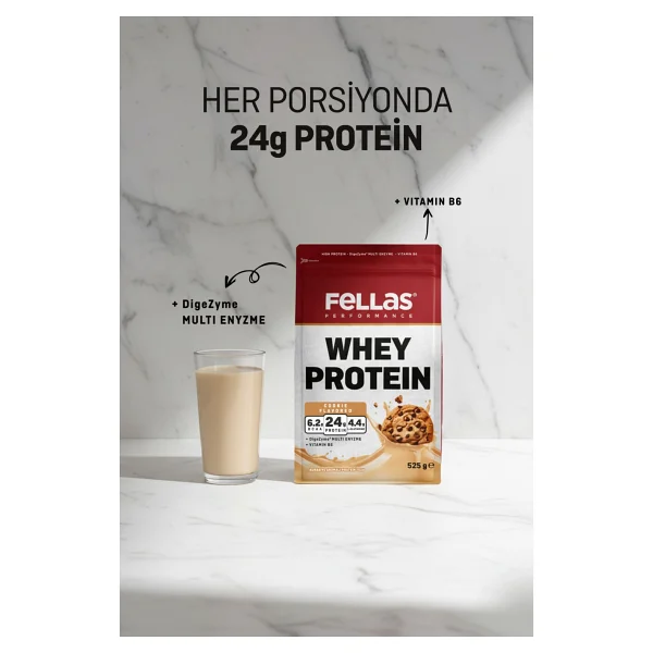 Fellas Performance 525 Gr 2 Adet Whey Protein Tozu - Görsel 6