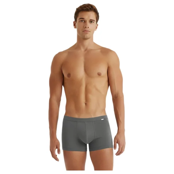 Blackspade Silver 9310 Antrasit Erkek Boxer - Görsel 7