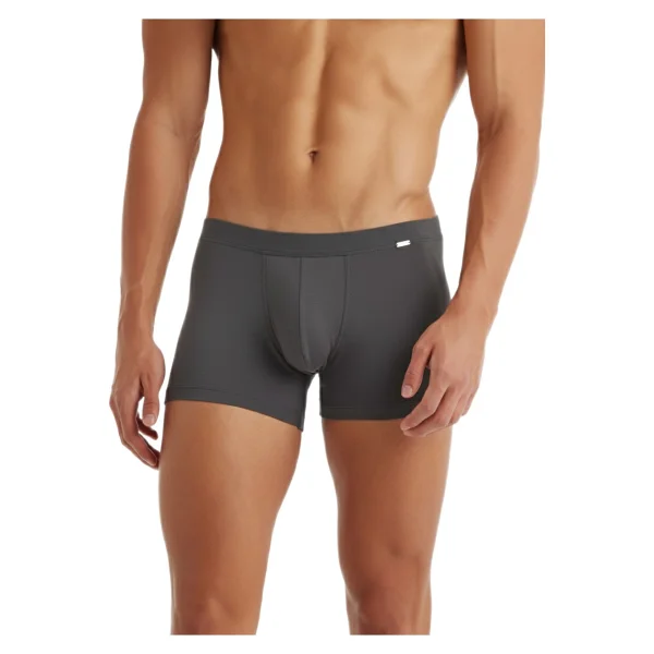 Blackspade Silver 9310 Antrasit Erkek Boxer - Görsel 2