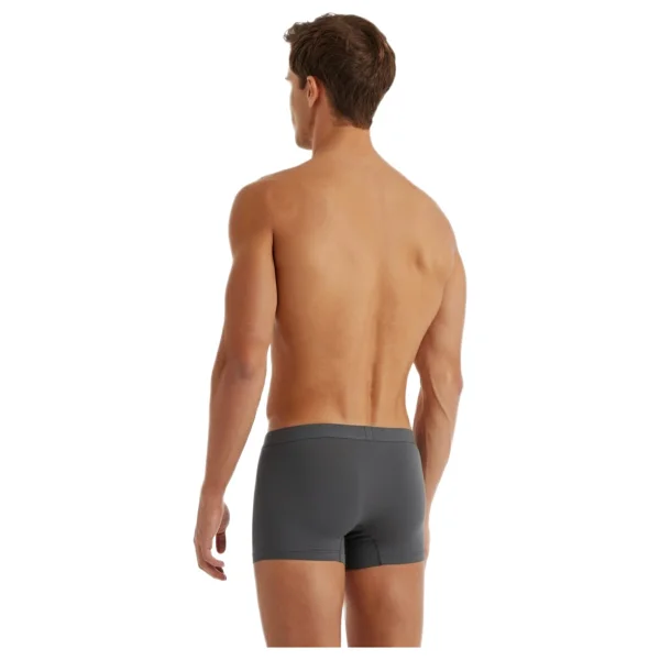 Blackspade Silver 9310 Antrasit Erkek Boxer - Görsel 3