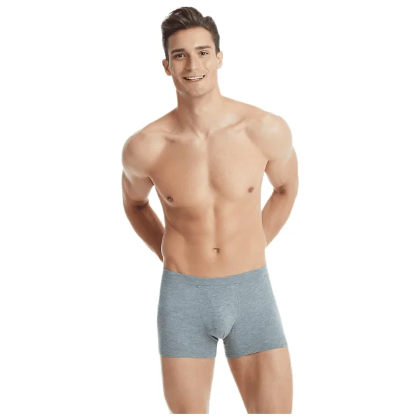 Blackspade Silver 9310 Gri Erkek Boxer - Görsel 4