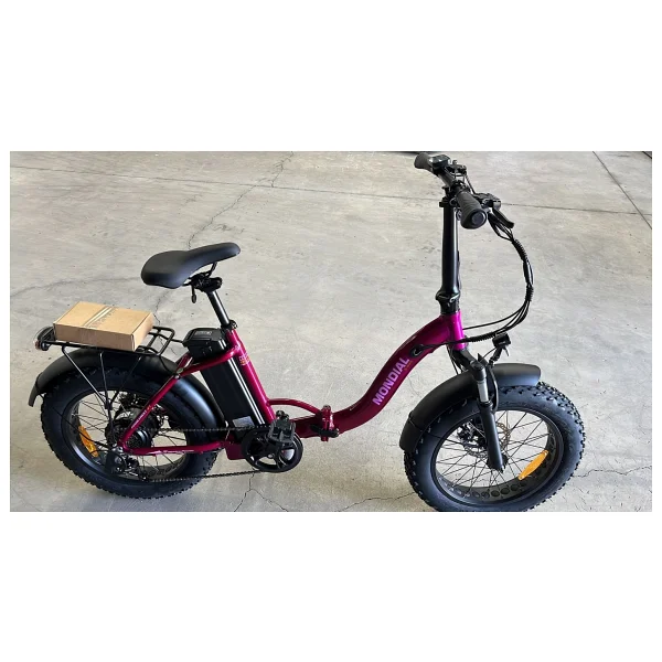 Mondial Prostreet St 250 W Elektrikli Bisiklet - Görsel 4