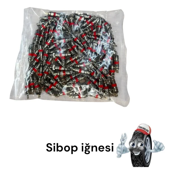 Teknolas Sibop Ignesi - Görsel 2