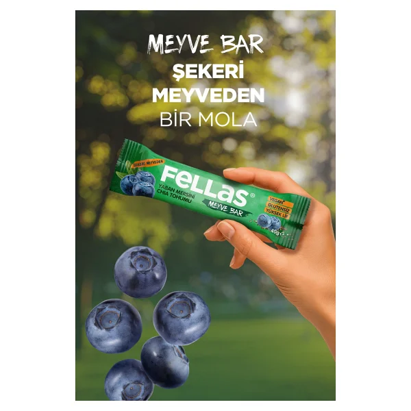 Fellas Meyve Bar - Yaban Mersinli Ve Chialı (40 G) X 12 Adet - Görsel 3