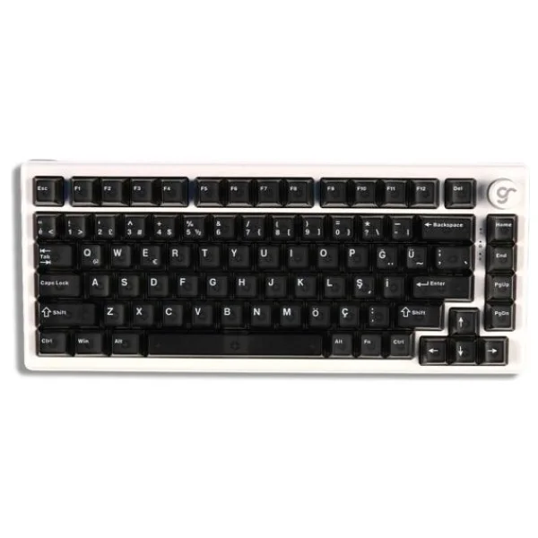 Gameraider Cherry Single Shot PC (Full Set) Şeffaf Türkçe Keycap Set - Görsel 3