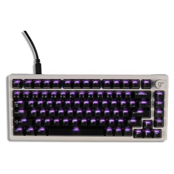 Gameraider Cherry Single Shot PC (Full Set) Şeffaf Türkçe Keycap Set - Görsel 5