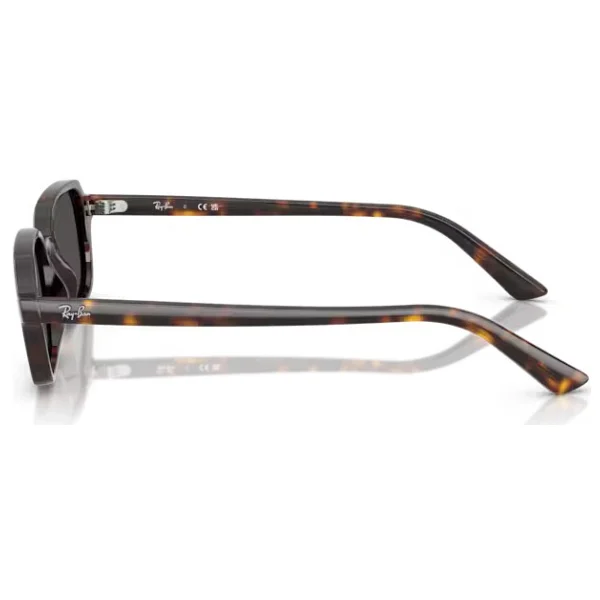 Ray-Ban Zuri 4455 Güneş Gözlüğü - Görsel 8