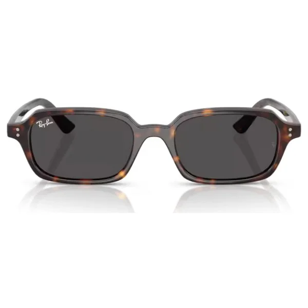 Ray-Ban Zuri 4455 Güneş Gözlüğü - Görsel 9