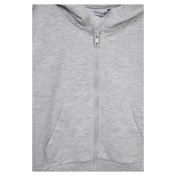 Defacto Kapüşonlu 2'li Sweatshırt Erkek Bebek G6489a526sp - Gri-Gr396 - 4 - 5 Yaş - Görsel 3