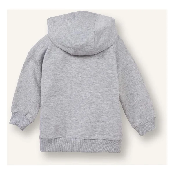Defacto Kapüşonlu 2'li Sweatshırt Erkek Bebek G6489a526sp - Gri-Gr396 - 4 - 5 Yaş - Görsel 4
