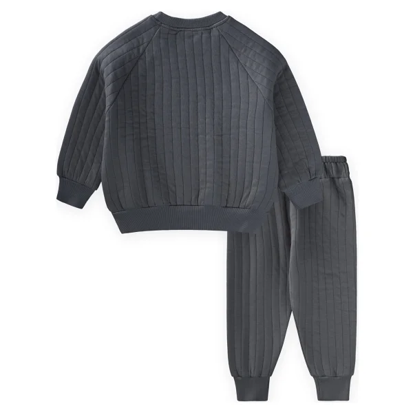 Cigit Kapitone Sweatshirt Takım 1-7 Yaş Antrasit - 18 - 24 Ay - Görsel 3