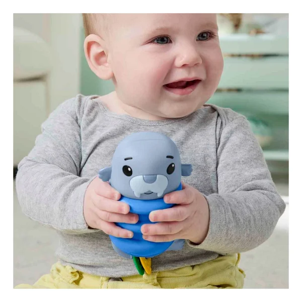 Fisher Price 2 İn 1 Deniz Dostları Mors Çıngırak Jhb56 - Görsel 2