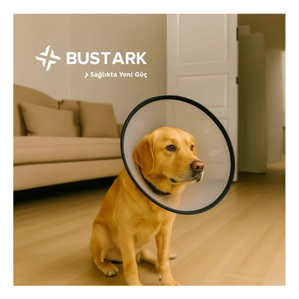 Bustark Kedi Köpek Elizabeth Kauçuk Dikişli Yakalık 25cm - Görsel 5