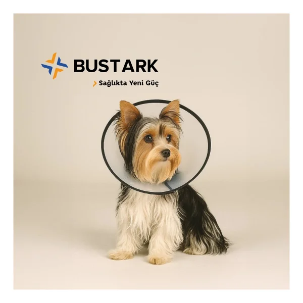 Bustark Kedi Köpek Elizabeth Kauçuk Dikişli Yakalık 15cm - Görsel 5