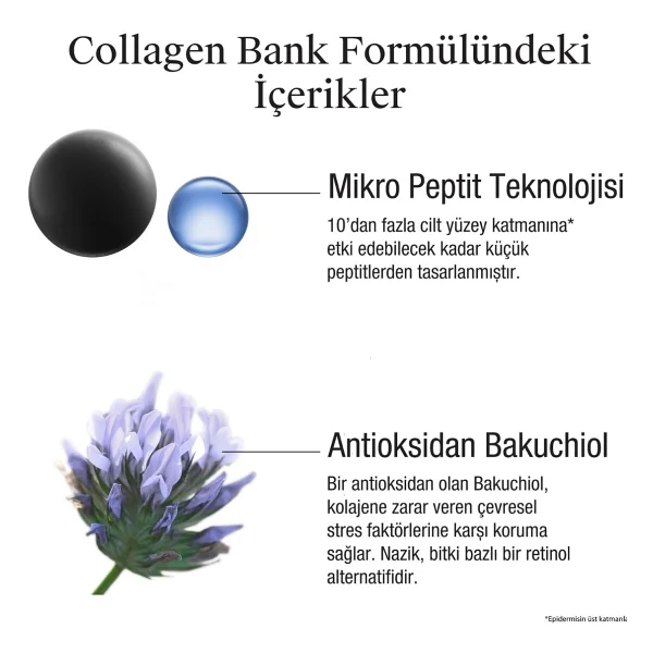 Neutrogena Collagen Bank Nemlendirici 50 Ml Gece Kremi - Görsel 5