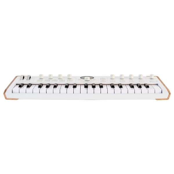 Arturia Astrolab 37 Tuşlu Avant-Garde Stage Synthesizer - Görsel 3