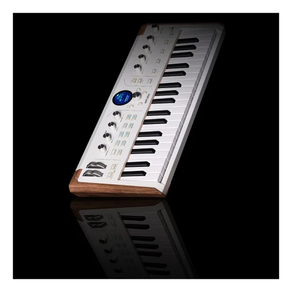 Arturia Astrolab 37 Tuşlu Avant-Garde Stage Synthesizer - Görsel 5