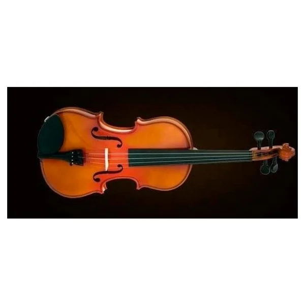 Valencia Va40040 Viyola 16 Inç (Kutulu Set) 40.6 Cm Gövde - Yay Ve Reçine Dahil - Masif Kapak - Görsel 2