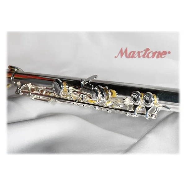 Maxtone Tfc-53se Yan Flüt Gümüş Kaplama Gövde, E-Mekanizma Desteği, Lüks Sert Taşıma Kutulu Profesyonel Öğrenci Serisi - Görsel 4