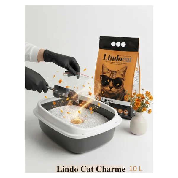 Lindo Cat Charme Hassas Derili Kediler İçin Aynısefalı Ve Amber Kokulu 10 Lt Kedi Kumu - Görsel 6