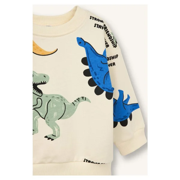 Defacto Dinozor Desenli Sweatshirt Erkek Bebek - Görsel 3