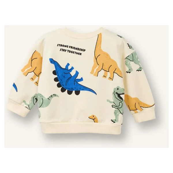 Defacto Dinozor Desenli Sweatshirt Erkek Bebek - Görsel 4