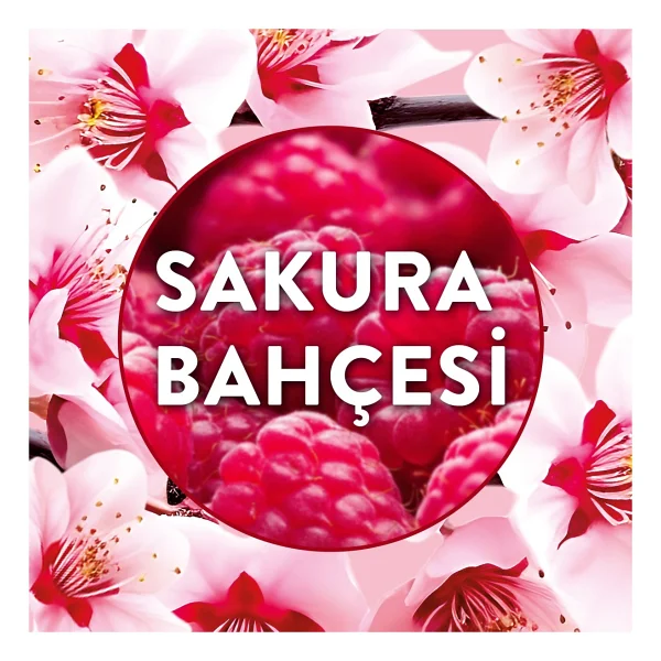 Air Wick Elektrikli Oda Kokusu Yedek Şişe Sakura Bahçesi - Görsel 3