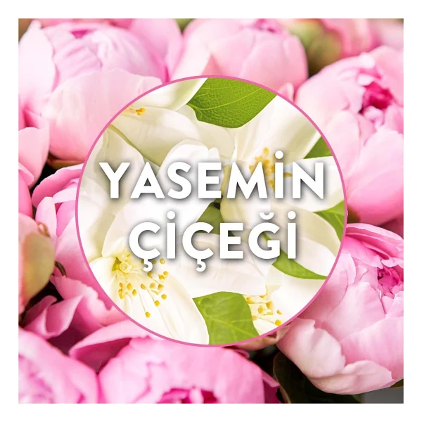 Air Wick Elektrikli Yedek Oda Kokusu Başlığı Yasemin Çiçeği - Görsel 4