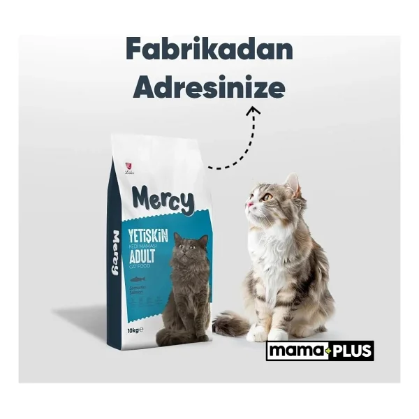 Mercy 10 Kg Somonlu Yetişkin Kedi Maması Ekonomik Segmentte Yüksek Lezzet Sunar - Görsel 8