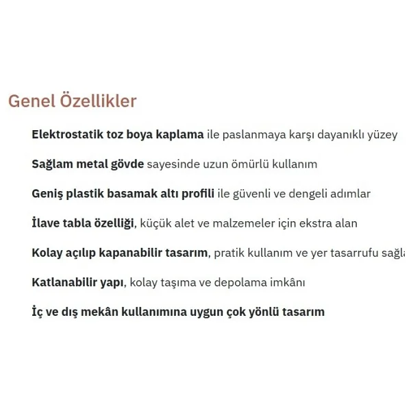 Saraylı Wonder 2+1 Basamaklı Plastik Merdiven - Görsel 4