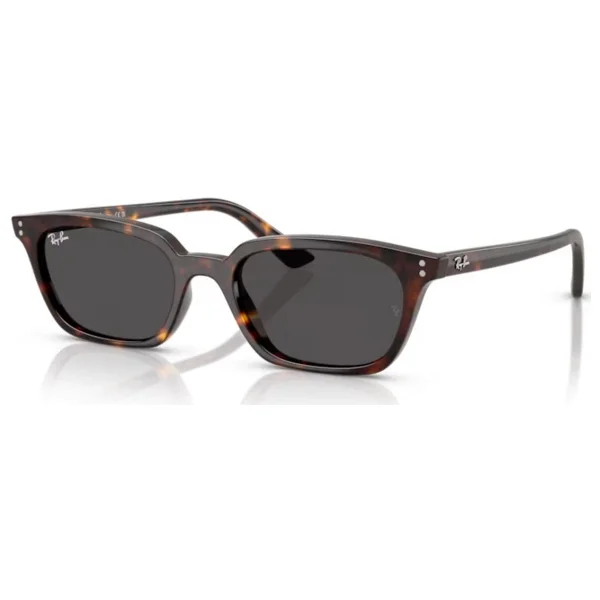 Ray-Ban Zaya 4456 135987 Havana-Dark Grey Güneş Gözlüğü - Görsel 8