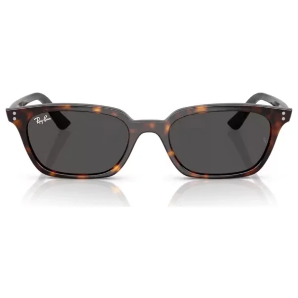 Ray-Ban Zaya 4456 135987 Havana-Dark Grey Güneş Gözlüğü - Görsel 9