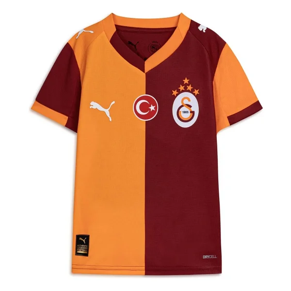 Puma 779818-01 2025/2026 İç Saha Parçalı Çocuk Galatasaray Forması - Görsel 3