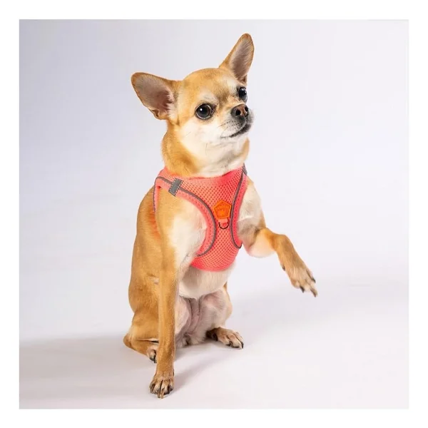 Pawstar Neon Pembe Air-Mesh Göğüs Tasması Kedi Köpek Göğüs Tasması Neon Pembe 3xs - Görsel 4