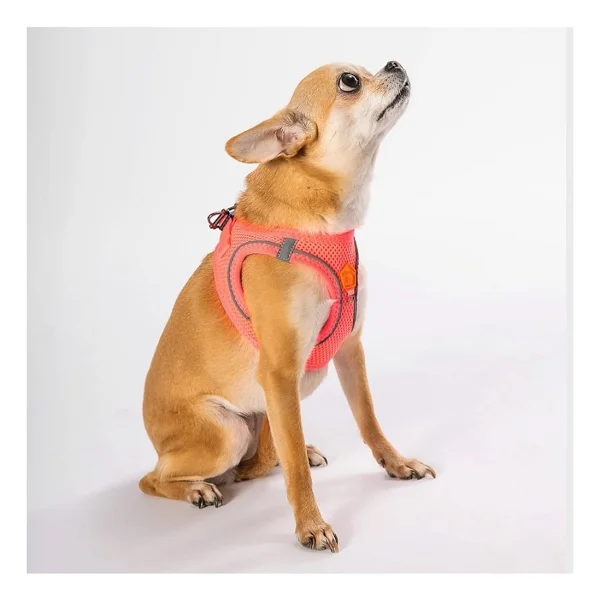 Pawstar Neon Pembe Air-Mesh Göğüs Tasması Kedi Köpek Göğüs Tasması Neon Pembe 3xs - Görsel 2