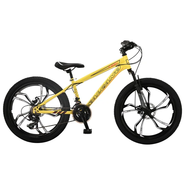 Salcano Lion 24 Md13 Mono Disk Fren Bisiklet (135 İle 155cm Arası Boy) - Görsel 5