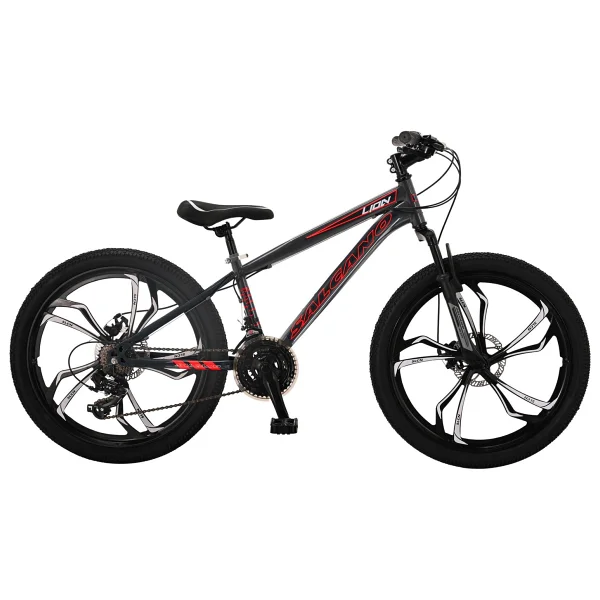 Salcano Lion 24 Md13 Mono Disk Fren Bisiklet (135 İle 155cm Arası Boy) - Görsel 7